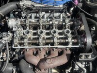 IMG_3532.jpeg