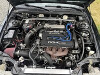 IMG_3534.jpeg