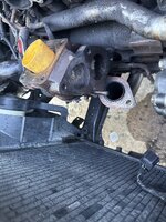 IMG_1301.jpeg