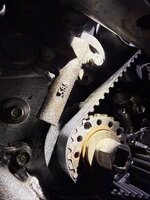IMG_1302.jpeg