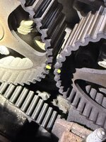 IMG_1311.jpeg