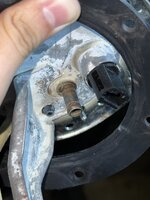 IMG_7183.jpeg