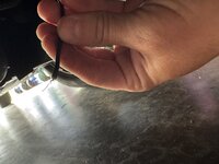 IMG_6797.jpeg