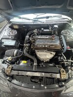 IMG_7261.jpeg