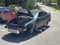 IMG_3570.jpeg