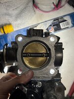 IMG_7240.jpeg