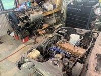 IMG_4580.jpeg