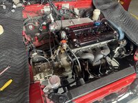 IMG_6365.jpeg