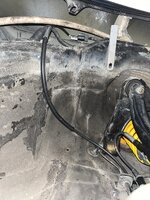 IMG_0194.jpeg