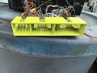 IMG_1366.jpeg