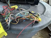 IMG_1367.jpeg
