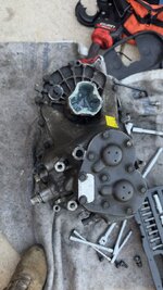 IMG_8175.jpeg