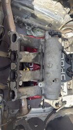 IMG_8159.jpeg