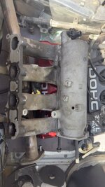 IMG_8164.jpeg