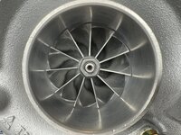 IMG_6320.jpeg