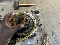 IMG_7139.jpeg