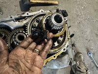 IMG_7140.jpeg