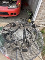 IMG_9946.jpeg