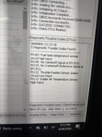 IMG_3578.jpeg