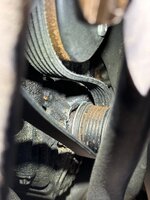 IMG_6489.jpeg