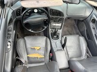 IMG_3092.jpeg