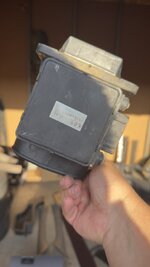 IMG_8400.jpeg