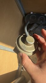 IMG_8387.jpeg
