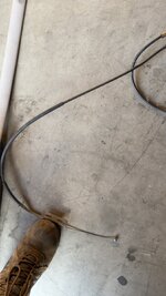 IMG_8382.jpeg
