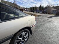 IMG_2367.jpeg