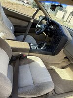 IMG_2371.jpeg
