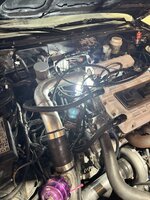IMG_0556.JPEG