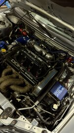 IMG_5953.jpeg