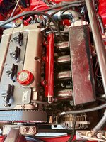 IMG_3635.jpeg