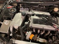 IMG_5445_optimized.jpg