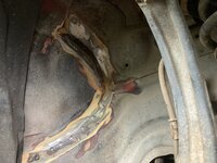 IMG_1736.jpeg