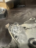 IMG_0779.jpeg
