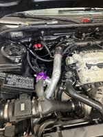 IMG_0823.jpeg
