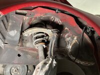 IMG_1749.jpeg