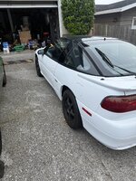 IMG_8033.jpeg