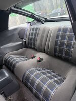 IMG_8036.jpeg