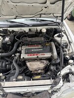 IMG_8037.jpeg