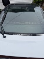 IMG_8040.jpeg