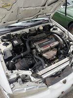 IMG_8038.jpeg