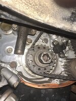 IMG_3558.jpeg