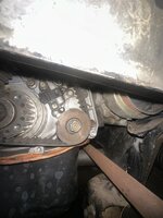 IMG_3560.jpeg