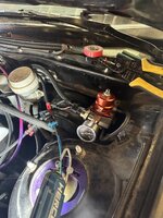 IMG_1168.JPEG