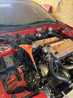 IMG_0391.jpeg
