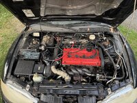 IMG_6790.jpeg