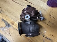 IMG_1399.jpeg