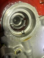 IMG_5211.jpeg